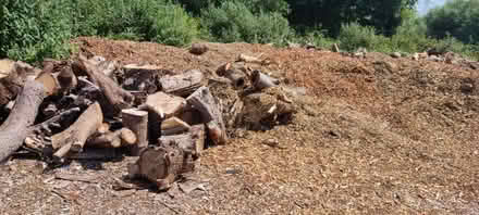 Photo of free Fire wood blocks (Da1) #3