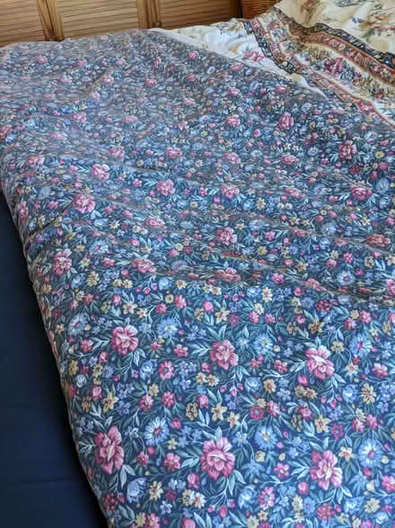 Photo of free King-sized Duvet Cover (Caversham Park RG4) #2