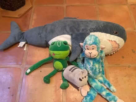 Photo of free assorted stuffed animals (West Hills) #1