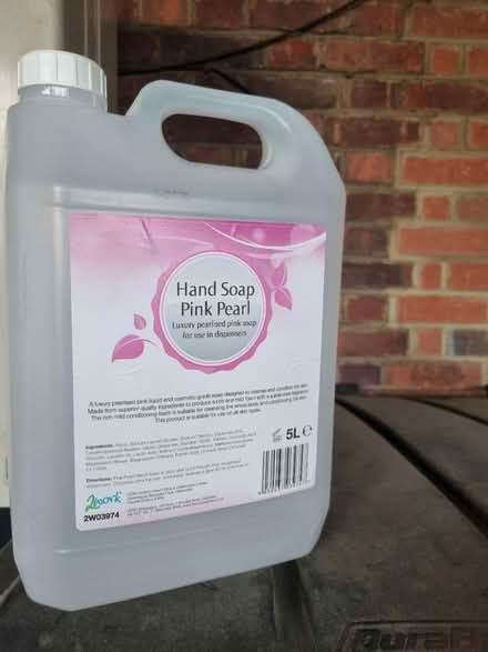 Photo of free 5 litre container (SE20) #1
