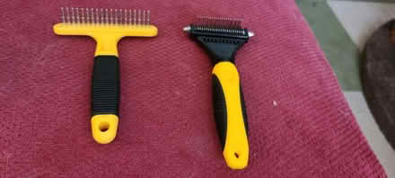Photo of free Pet dematting combs (South beacon hill) #1