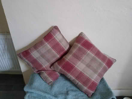 Photo of free Two cushions (Bexhill) #1
