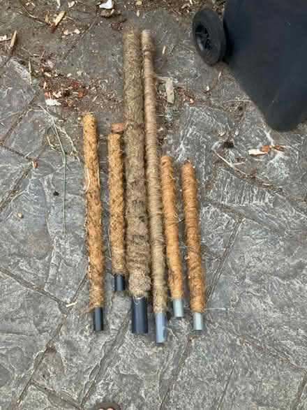 Photo of free 6 various sizes moss posts (BN43) #1