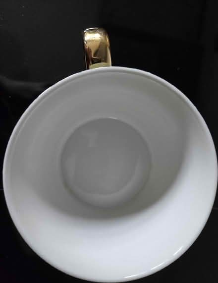 Photo of free Fox & Ivy Wildcat mug (Rathcoole, Co. Dublin) #2