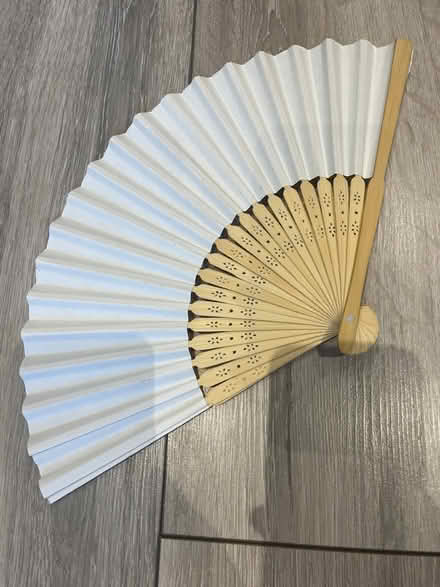 Photo of free Paper Fan (Tooting SW19) #1