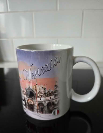 Photo of free Venice Cat Souvenir Mug (Rathcoole, Co. Dublin) #2