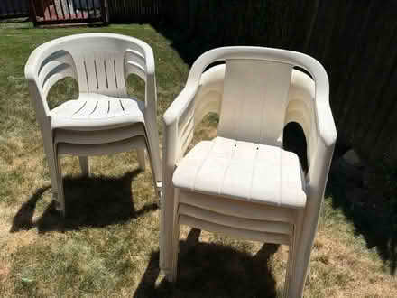 Photo of free 7 Plastic Chairs (Thornwood, NY) #1