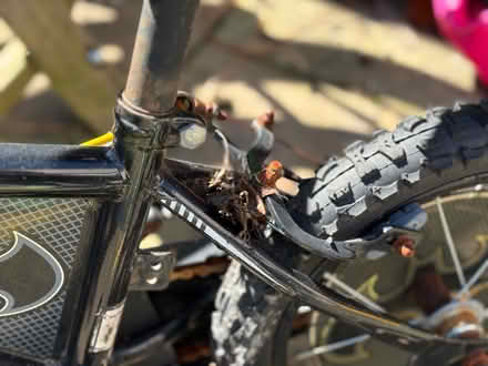 Photo of free Kids bike (Liverpool L18) #4
