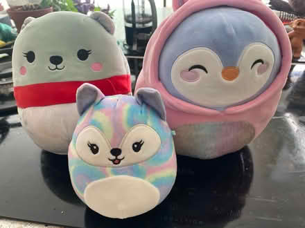 Photo of free 3 x Squishmallows (Harpenden AL5) #1