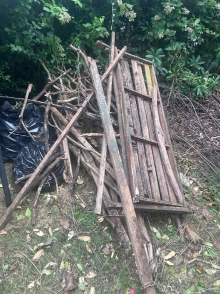 Photo of free wood (CV5 Allesley) #1