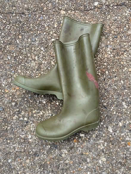 Photo of free Size 41 wellies (Harleston IP20) #1