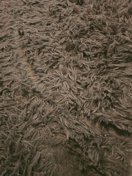 Photo of free Rug 160x230cm (Ilford, IG1) #2