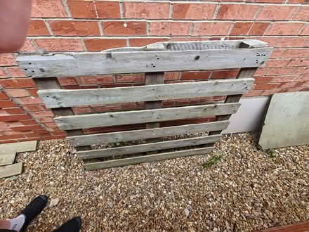 Photo of free Pallet and chipboard (Wilmslow SK9) #1