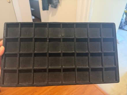 Photo of free Velvet jewelry tray (Woodley Park) #1