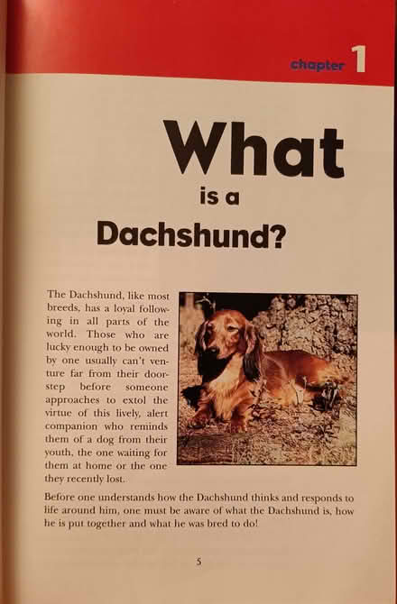 Photo of free Dachshund Book (Ridgefield Park) #2