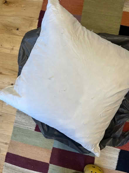Photo of free Large cushion 60cm (SE20) #1