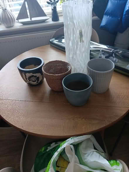 Photo of free Vase and pots for plants (Hurley SL6) #1