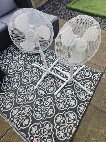 Photo of free 2 white fans (Salford M6) #1