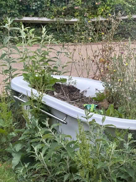 Photo of free Bath planter to go (Loughborough LE11) #1
