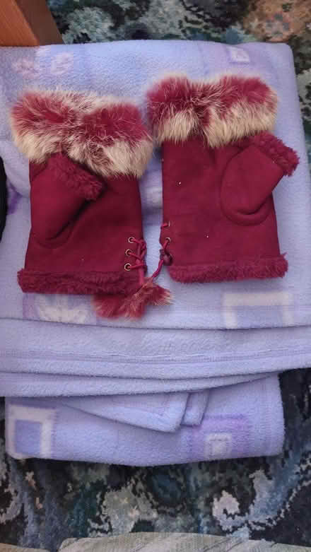 Photo of free x1 pair fingerless gloves (dorset BH12) #1
