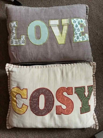 Photo of free Pair of cute cushions (Barnard's Green WR14) #1