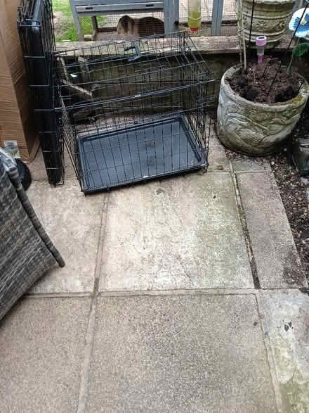 Photo of free 2 dog crates (Hurley SL6) #1