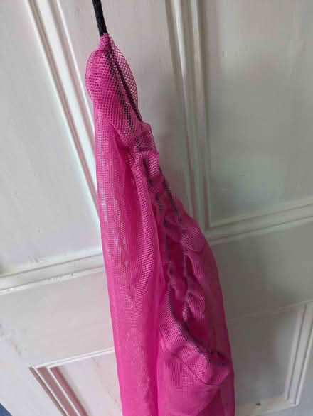 Photo of free Large netted bag (Finsbury/Clissold N4) #2