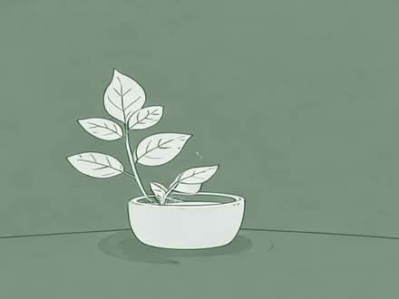 Photo of Plants (Coulsdon CR5) #1
