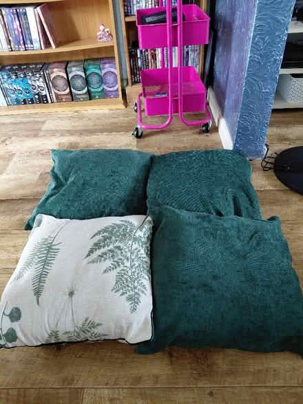 Photo of free 4 green cushions (Rowner PO13) #1