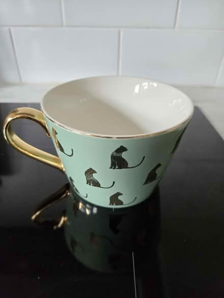 Photo of free Fox & Ivy Wildcat mug (Rathcoole, Co. Dublin) #3