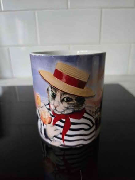 Photo of free Venice Cat Souvenir Mug (Rathcoole, Co. Dublin) #1