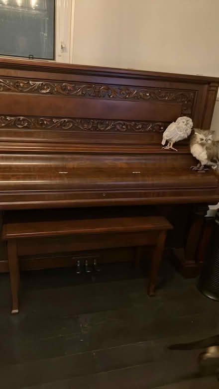 Photo of free Piano (Burnhamthorpe and Mill road TO) #2