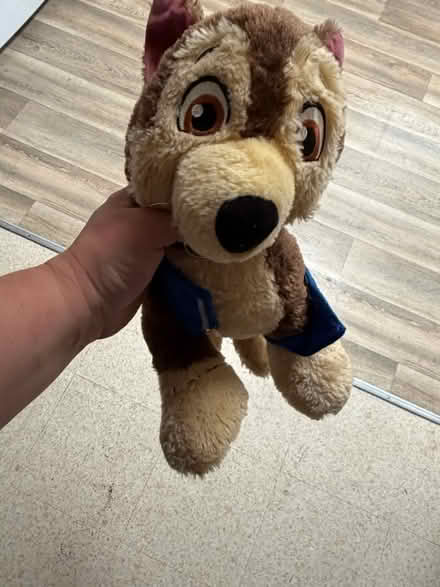 Photo of free Soft toys (Ip33) #4