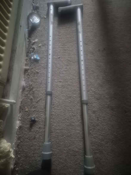 Photo of free Walking sticks (Buckland End B34) #1