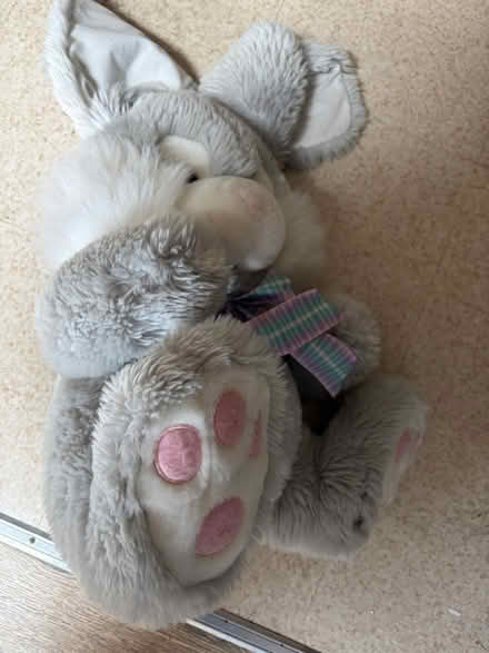 Photo of free Soft toys (Ip33) #3