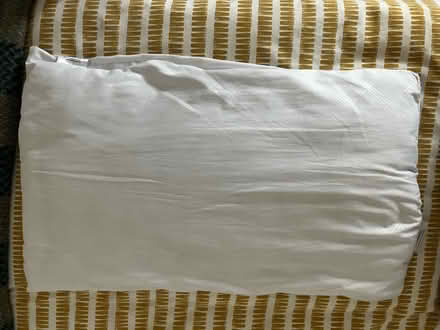 Photo of free Pillows (Tetbury) #3