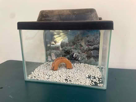 Photo of free Small fish tank (Penrith CA11) #1