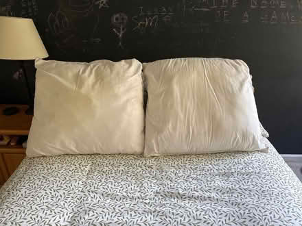 Photo of free Euro Pillows (Highland Ave, RWC) #1