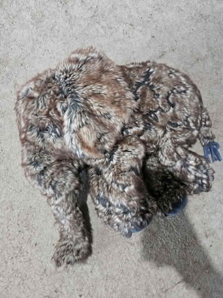 Photo of free Large elephant cuddly toy (Goldsworth Park GU21) #1