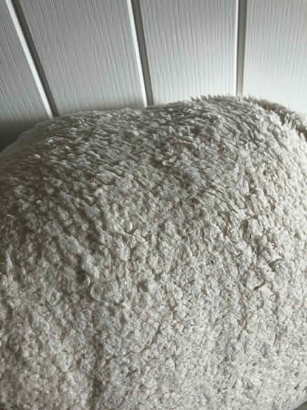 Photo of free Teddy textured fitted sheet (Tetbury) #1