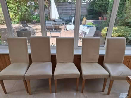 Photo of free 5 cream dinning chairs (Dundrum) #1