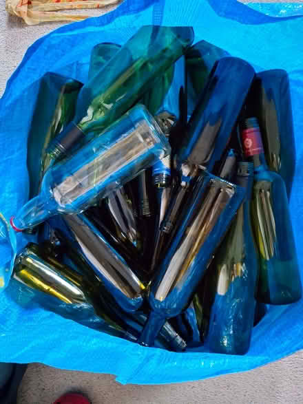 Photo of free Wine and champagne bottles for home winemaking (Appleby-in-Westmorland CA16) #1