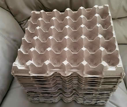 Photo of free Egg Cartons (Kanata (Bridlewood)) #1