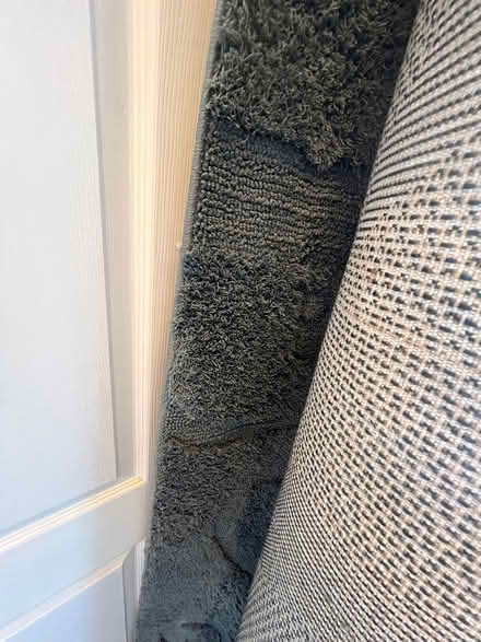 Photo of free Area rug (Downtown area) #2