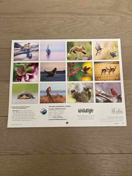 Photo of free 2025 wildlife calendar (Kennedy/16th in Markham) #2