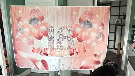 Photo of free Argentine 18th banners (Cheadle Heath SK8) #2