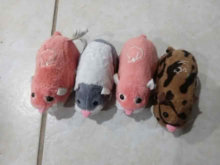 Photo of free Toys hamsters (Northwest Brampton) #1