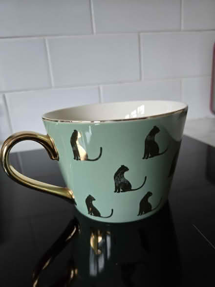 Photo of free Fox & Ivy Wildcat mug (Rathcoole, Co. Dublin) #1