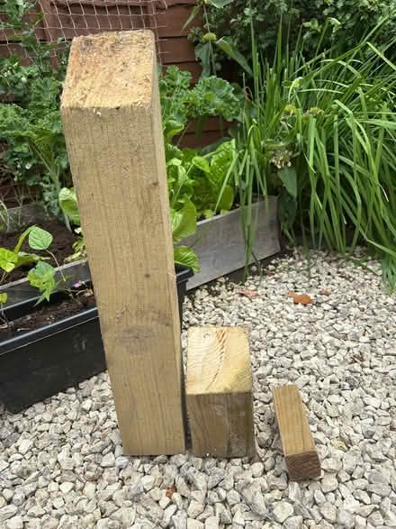Photo of free Timber off cuts from fencing (Southwater) #1