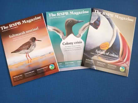 Photo of free RSPB magazines (Elvaston Meadows DE72) #1